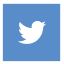 if_twitter_square_107066.png