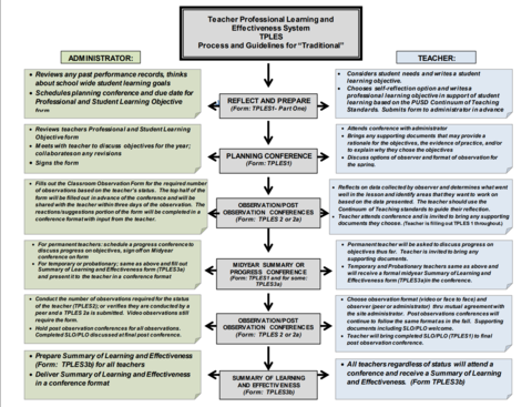 front cover of the resource Teacher Professional Learning and Effectiveness System (TPLES): Process and Guidelines